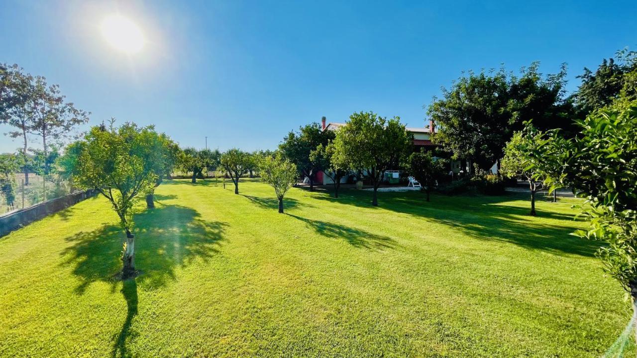 Villetta Bianca Pisticci-Matera Kültér fotó